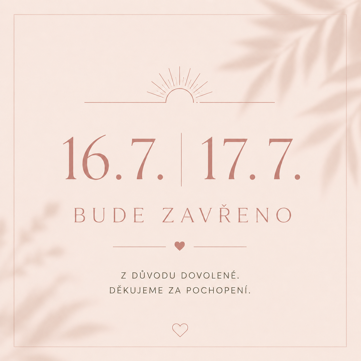 C8077E99-E905-42D4-872F-0A2D2417CE3F.png